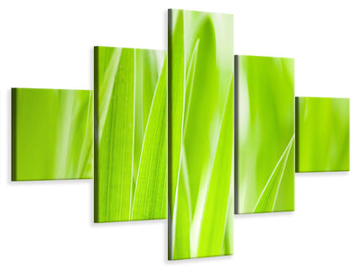 5-piece-canvas-print-grass-xxl