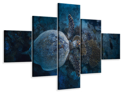 5-piece-canvas-print-hawksbill-sea-turtle-ii