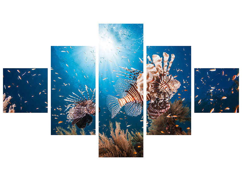 5-piece-canvas-print-lionfish-ii