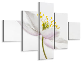 5-piece-canvas-print-nemorosa-iii