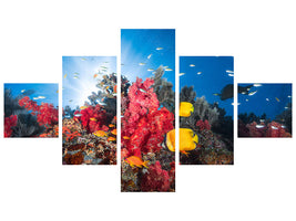 5-piece-canvas-print-reef-life