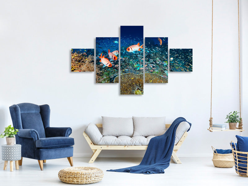 5-piece-canvas-print-reef-lifeii