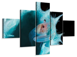 5-piece-canvas-print-shrimp-in-a-blue-sponge