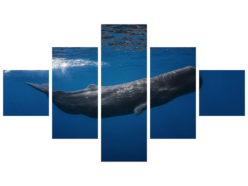 5-piece-canvas-print-sperm-whale