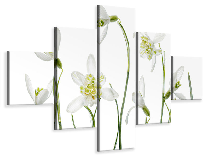 5-piece-canvas-print-spring-snowdrops