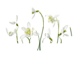 5-piece-canvas-print-spring-snowdrops