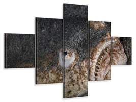 5-piece-canvas-print-stargazer