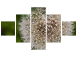 5-piece-canvas-print-the-dandelion-in-nature