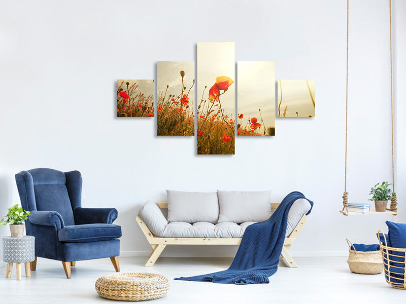 5-piece-canvas-print-the-poppy-field-at-sunrise