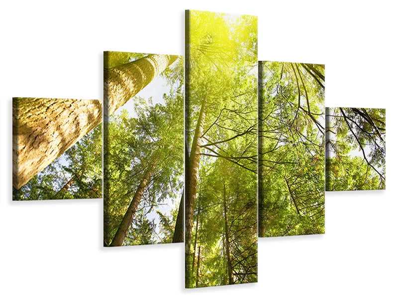 5-piece-canvas-print-treetops-in-the-sun