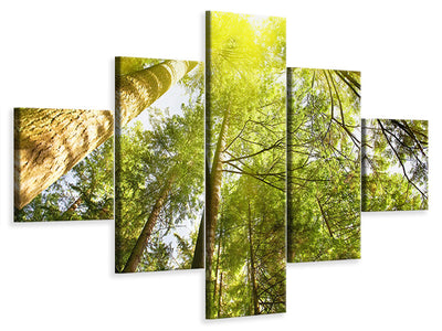 5-piece-canvas-print-treetops-in-the-sun