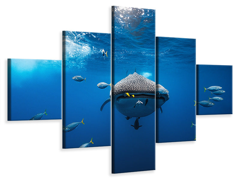 5-piece-canvas-print-whale-shark-escorted-by-a-school-of-bonito