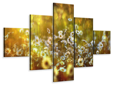 5-piece-canvas-print-wonderland