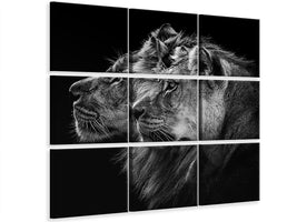 9-piece-canvas-print-lion-and-lioness-portrait