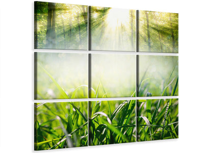 9-piece-canvas-print-magic-forest