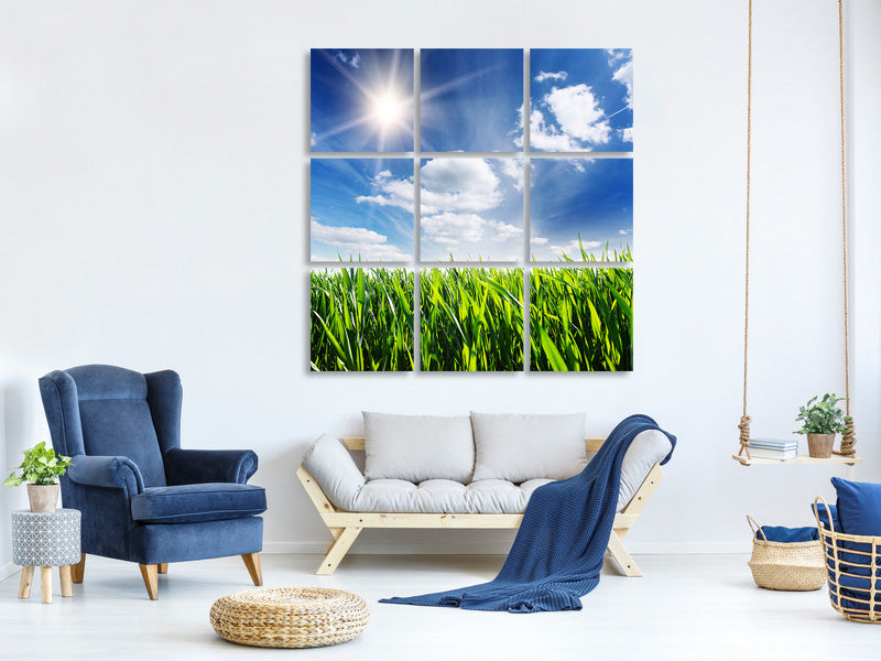 9-piece-canvas-print-spring-grass