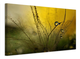 canvas-print-a-golden-morning-shower-x