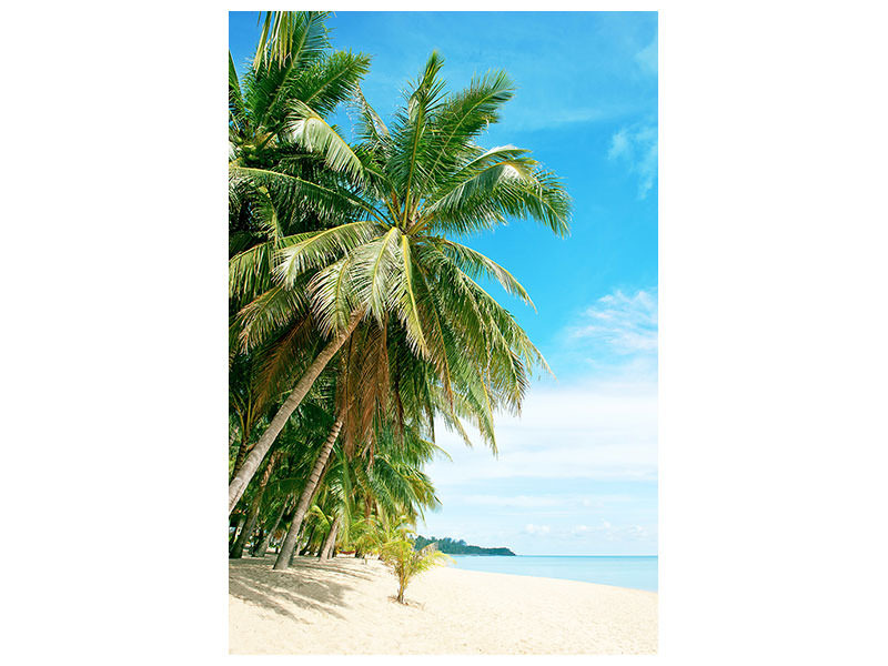 canvas-print-a-island-dream