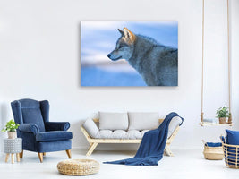 canvas-print-a-vigilant-wolf-x