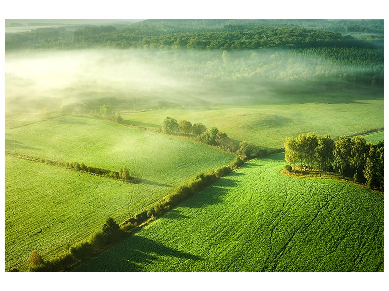 canvas-print-above-the-mist-x