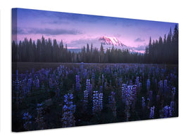 canvas-print-adam-s-lupine-x