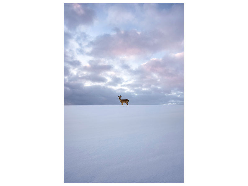 canvas-print-alone