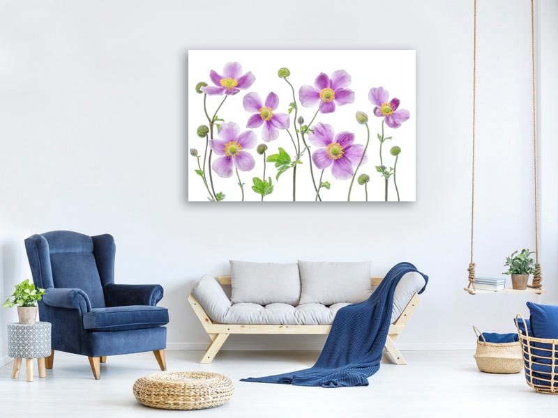 canvas-print-anemone-japonica-x