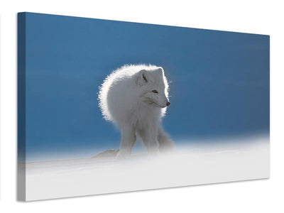 canvas-print-arctic-fox-x