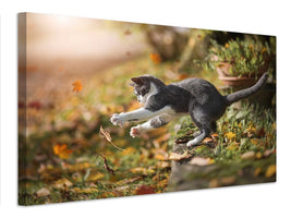 canvas-print-autumn-play-x