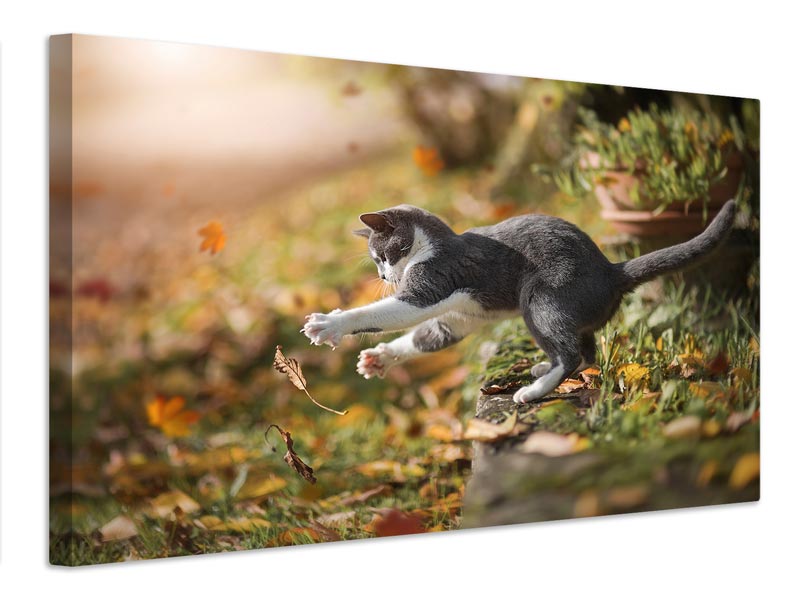 canvas-print-autumn-play-x