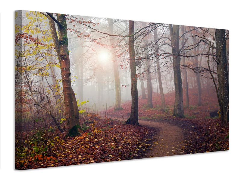 canvas-print-autumn-sun-x