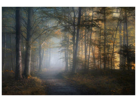 canvas-print-autumn-symphony-x