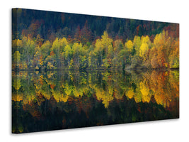 canvas-print-autumnal-silence