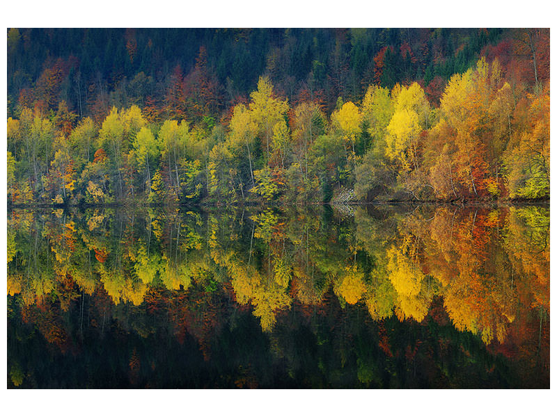 canvas-print-autumnal-silence