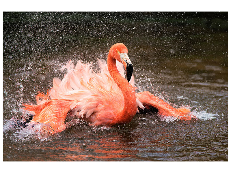 canvas-print-bath