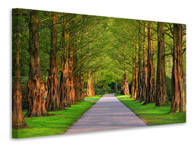 canvas-print-beautiful-avenue-in-nature