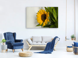 canvas-print-beautiful-sunflower