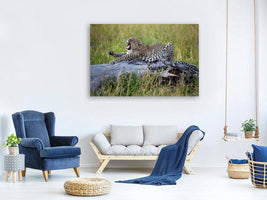 canvas-print-big-cat-x