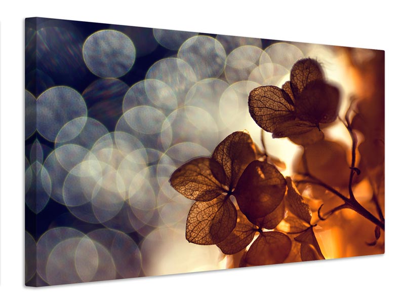 canvas-print-bokeh-x