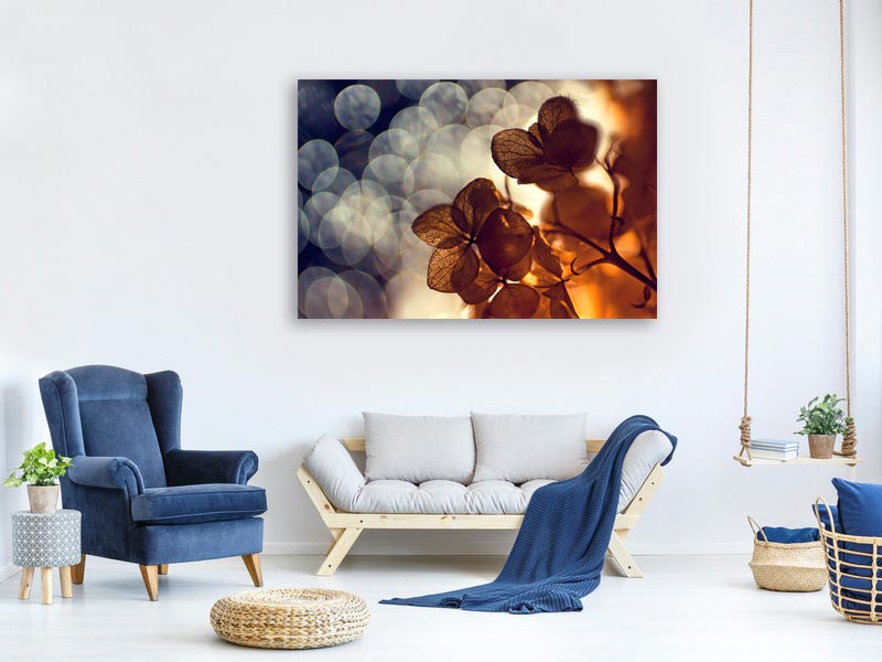 canvas-print-bokeh-x