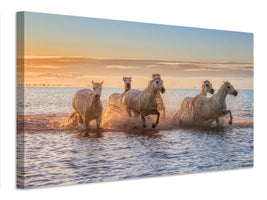 canvas-print-camargue-horses-ii-x