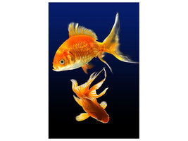 canvas-print-charming-fish