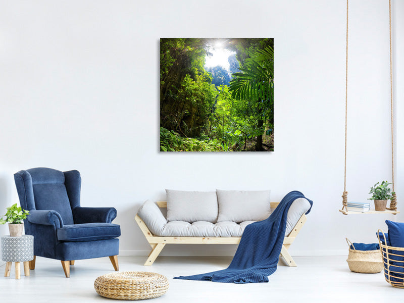 canvas-print-clearing-in-the-jungle