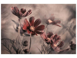 canvas-print-cosmos-2019-x