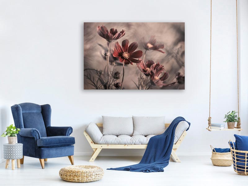 canvas-print-cosmos-2019-x