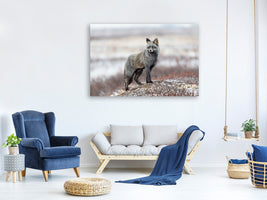 canvas-print-cross-fox