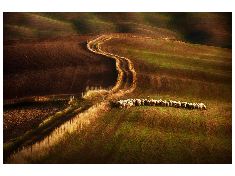 canvas-print-crossing-the-fields-x