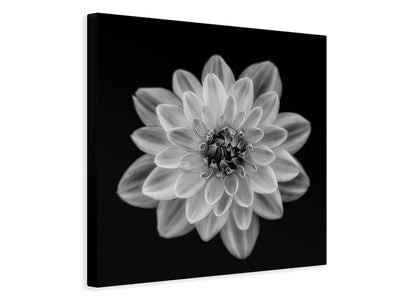 canvas-print-dahlia-xri