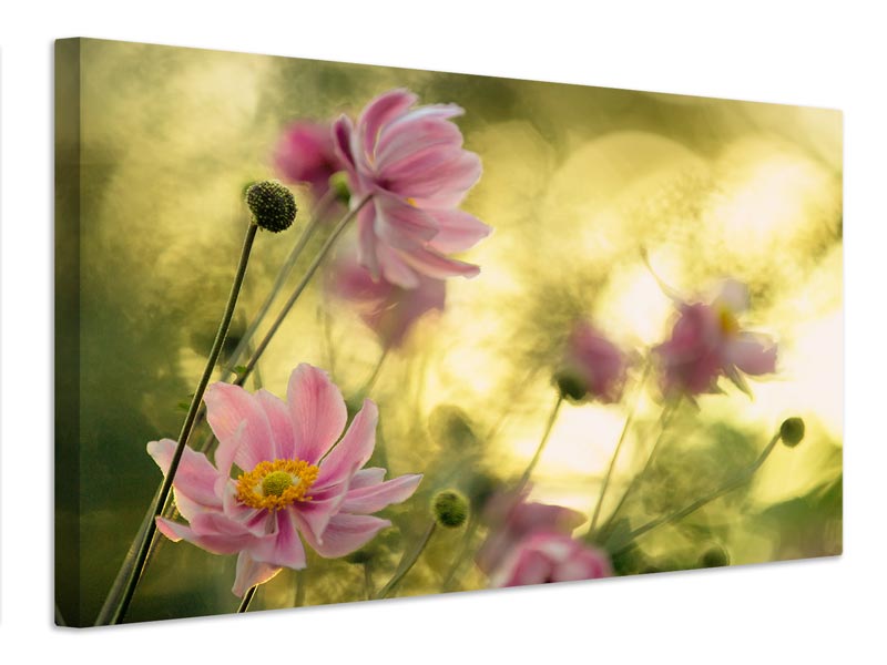 canvas-print-dance-of-the-flowers-x