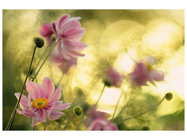 canvas-print-dance-of-the-flowers-x